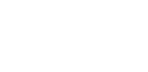 prime-logo-white