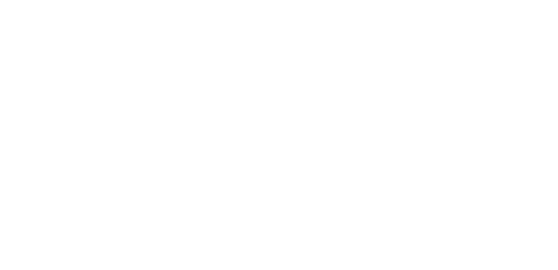 prime-logo-white